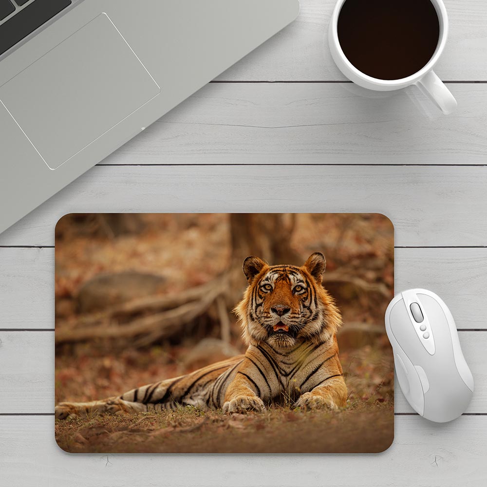 Mousepads