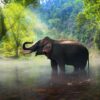 Periyar National Park