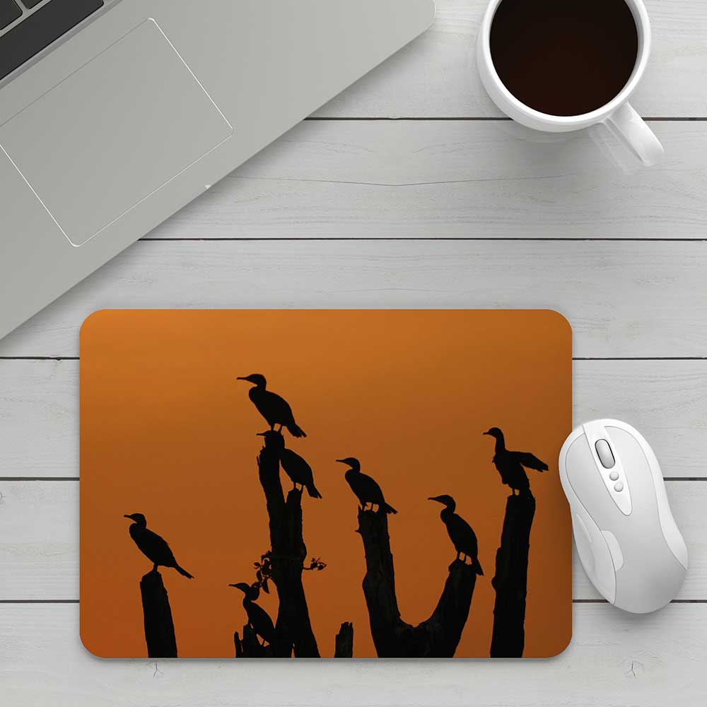 Mousepads